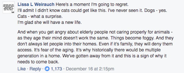 Fur-Cat-4.jpg