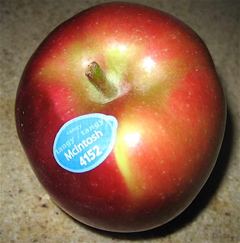 GALL1-Apple.jpg