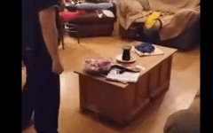 GIF21-1.gif