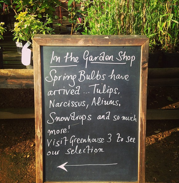 Garden-shop.png