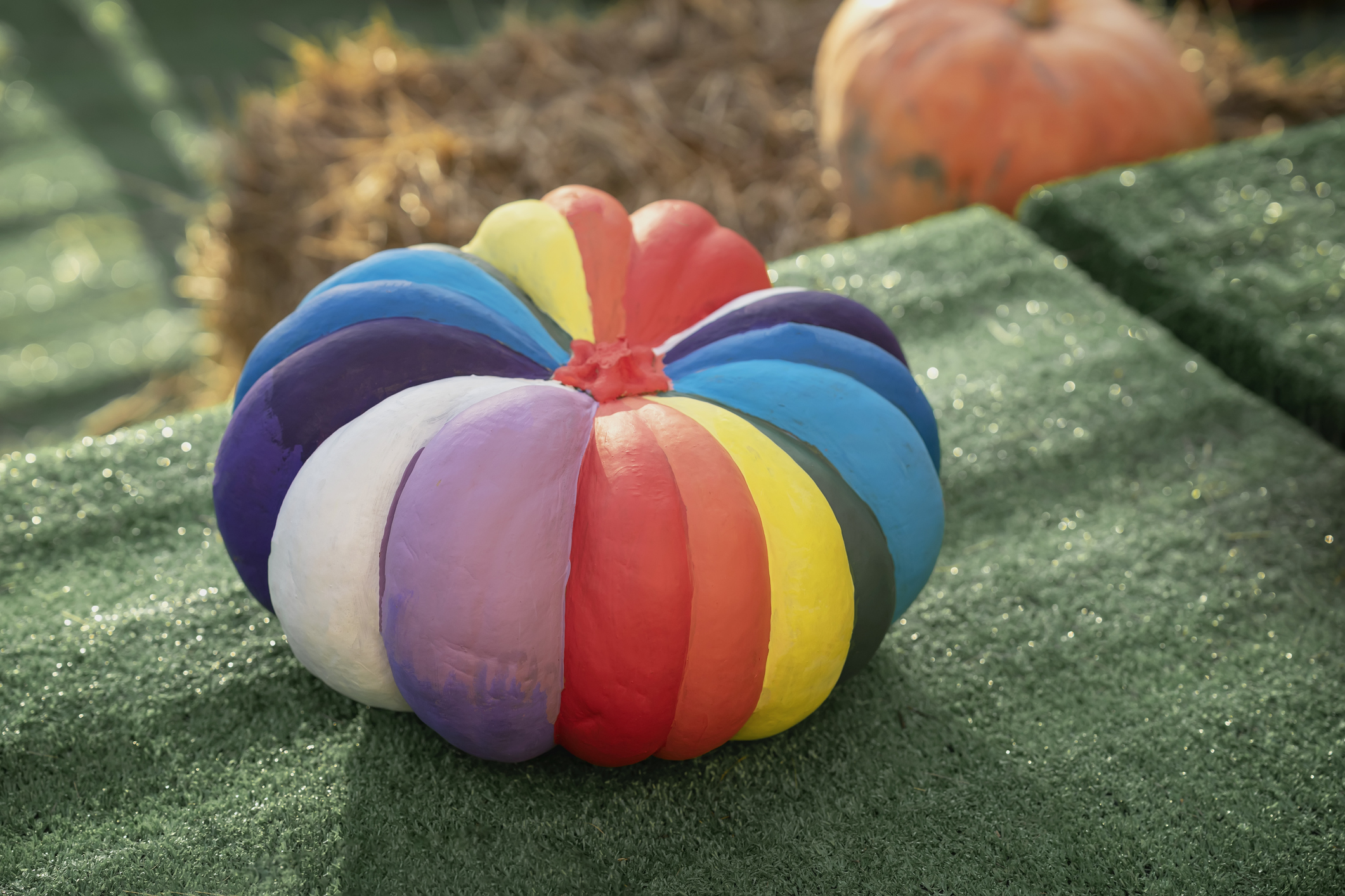 Natural pumpkin painted rainbow colors. Autumn holidays.