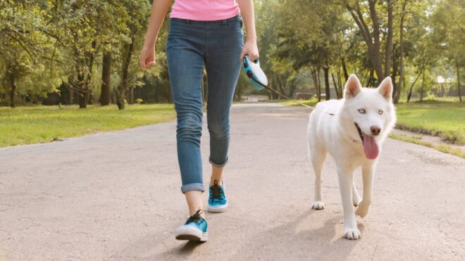 woman-walking-dog