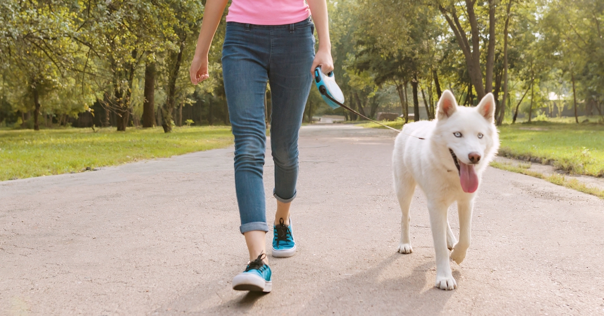 woman-walking-dog