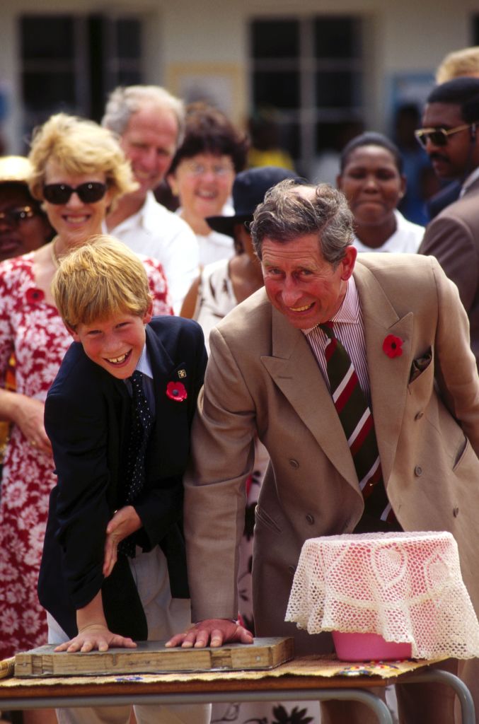 Prince Charles and prince Harry in South Africa on November 03, 1997.