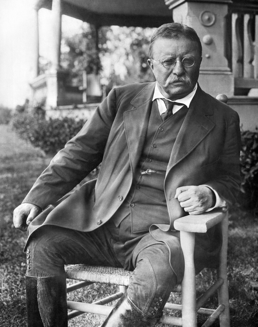 President Theodore Roosevelt