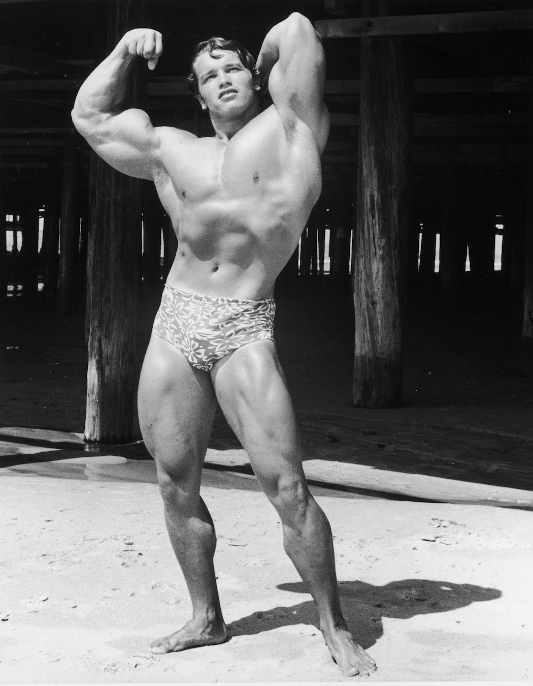 Nice Muscle