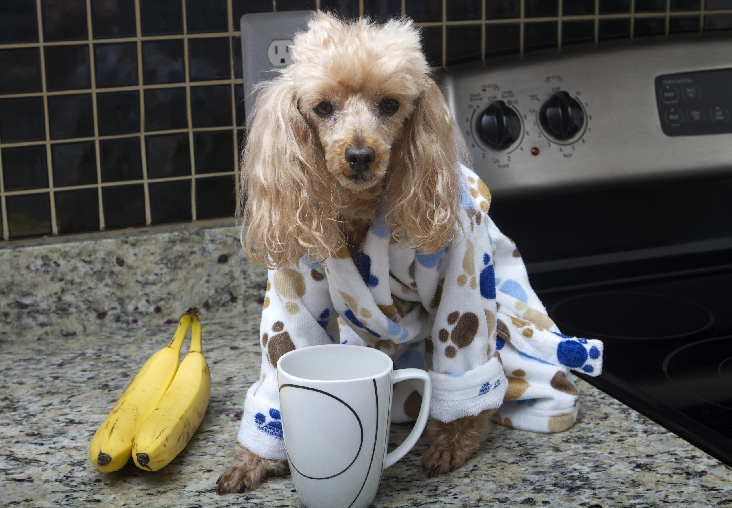 Morning Coffee In The Kitchen