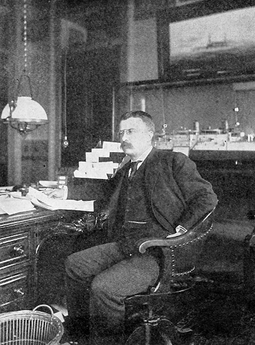 Theodore Roosevelt At Desk