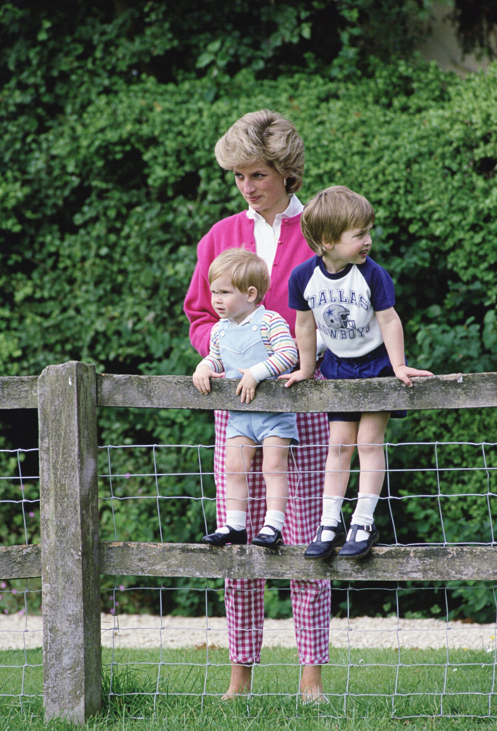 Diana Harry And William Highgrove