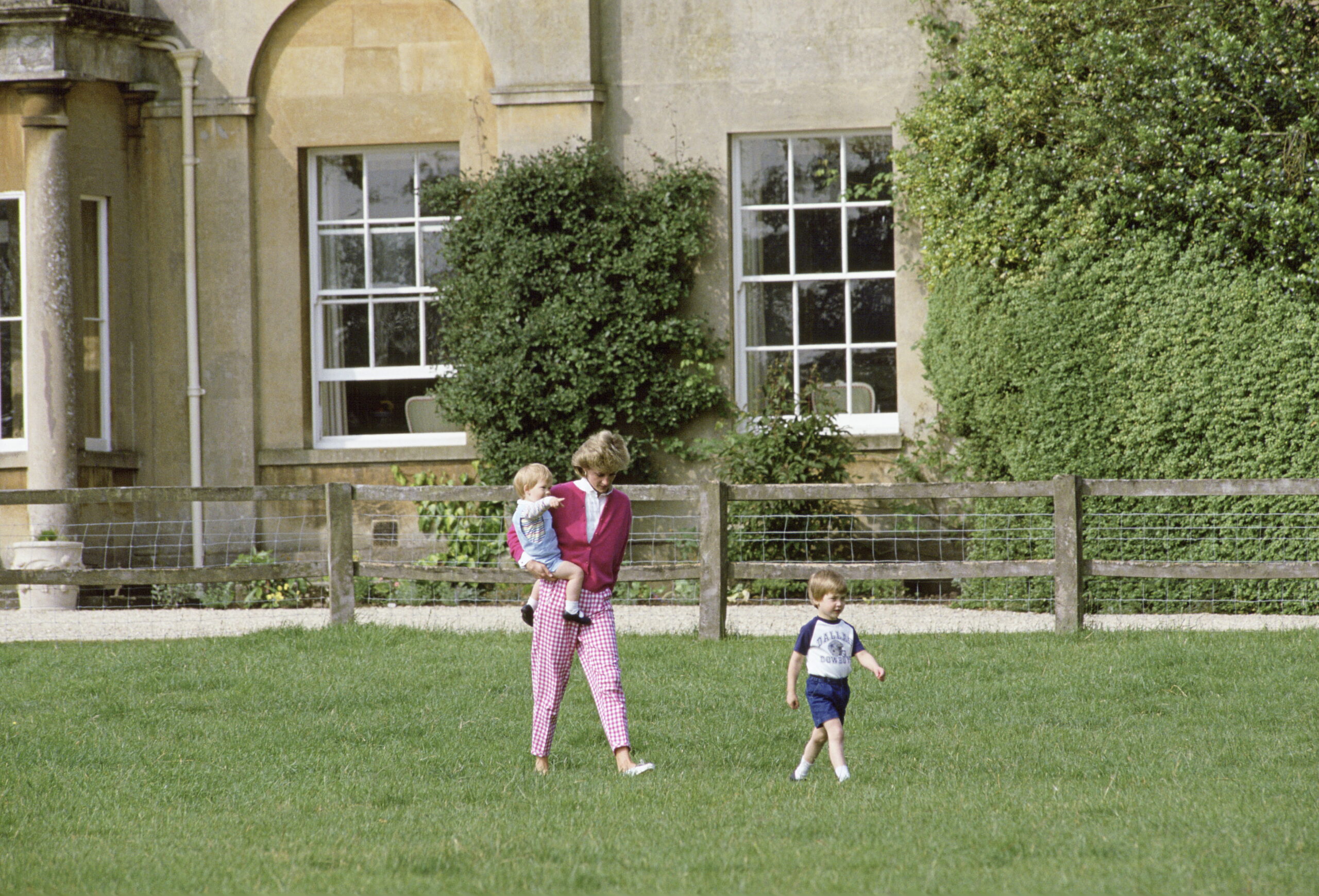 Diana William Harry At Home