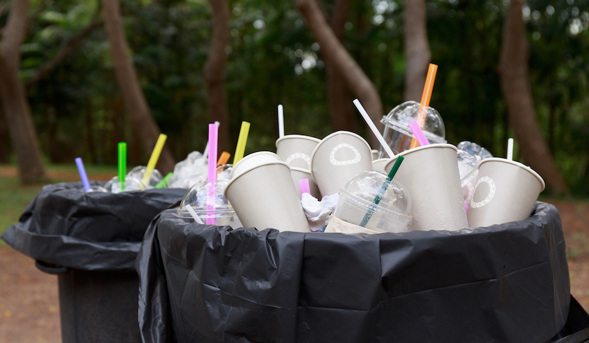 garbage in black bin
