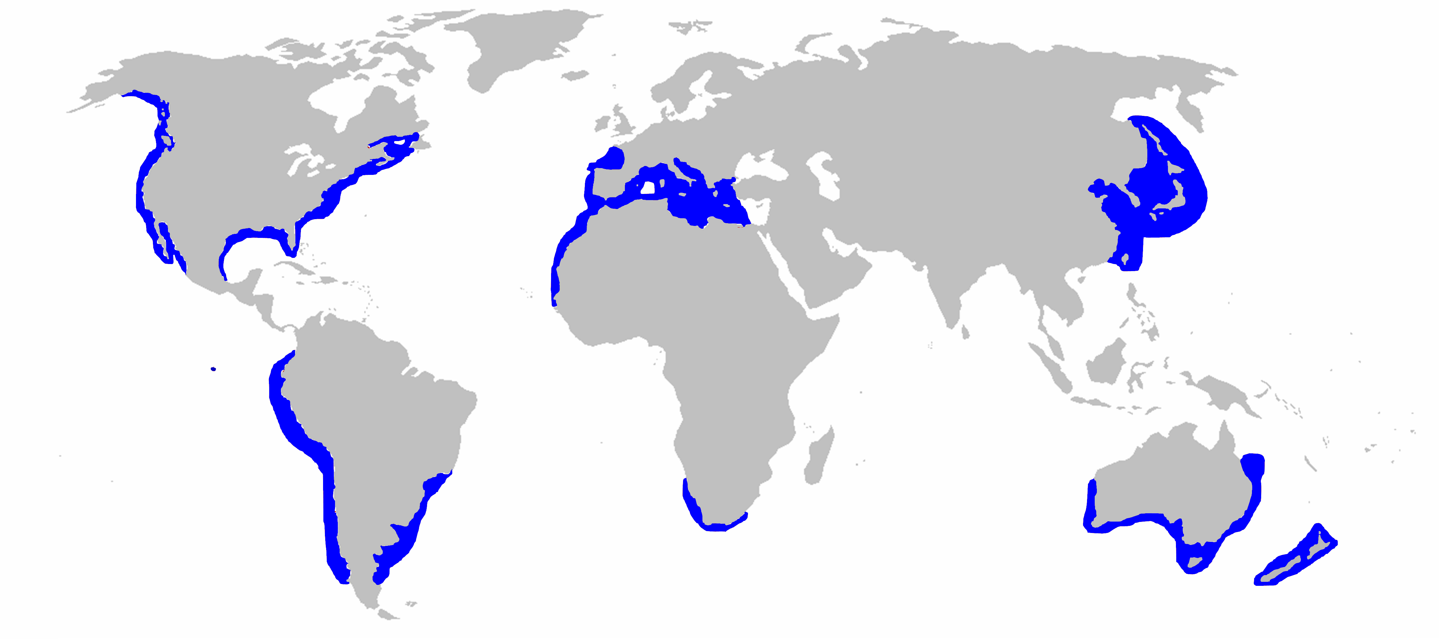 Great_White_Shark_Distibution_map.png