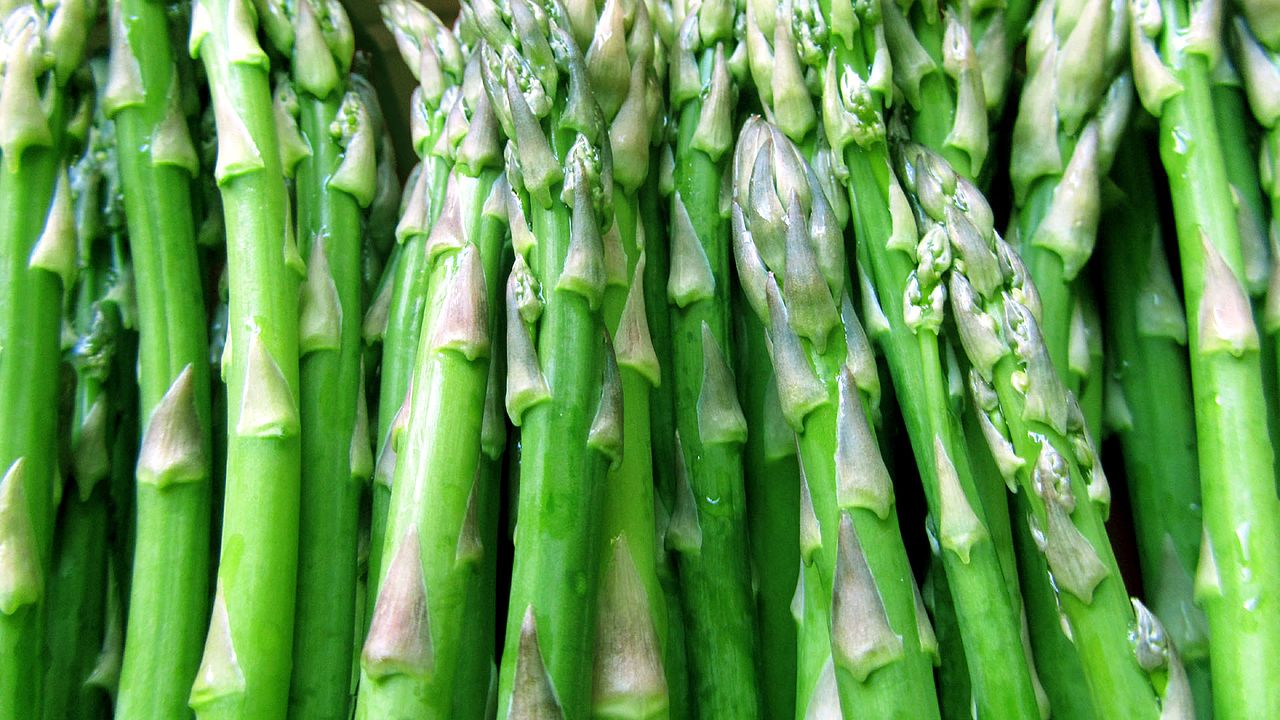 Green-bio-asparagus-buds-healthy-low-calories-sodium_1920x1080_99-hd.jpg