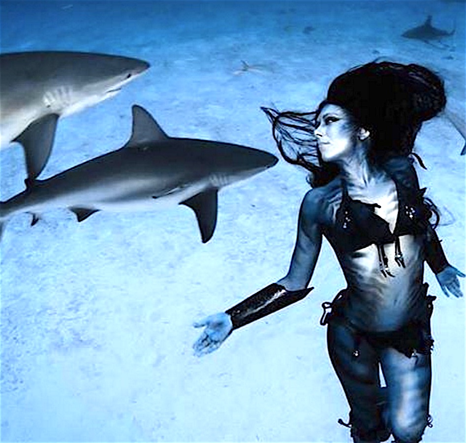 HMERMAID-what.jpg