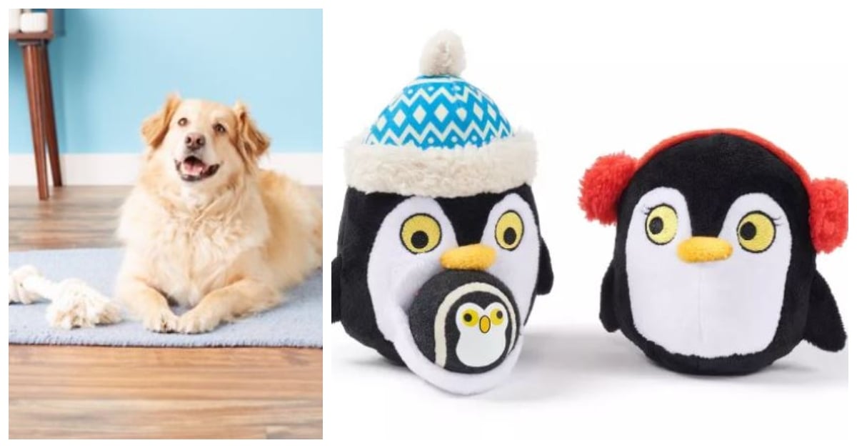 HOLDAY DOG TOYS