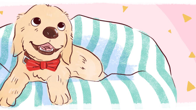 HPThumb _PuppyTeethCare_1280x627px_