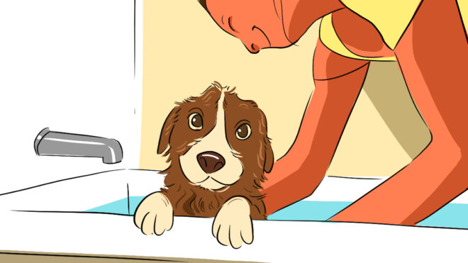 Puppy Baths