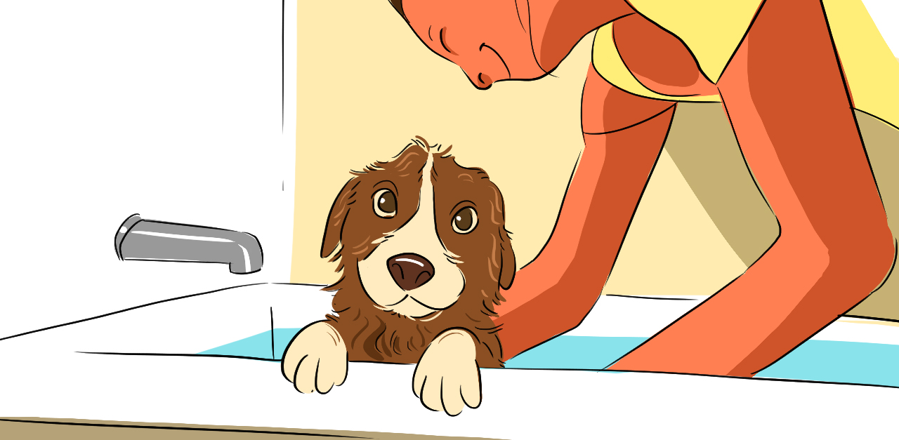 Puppy Baths