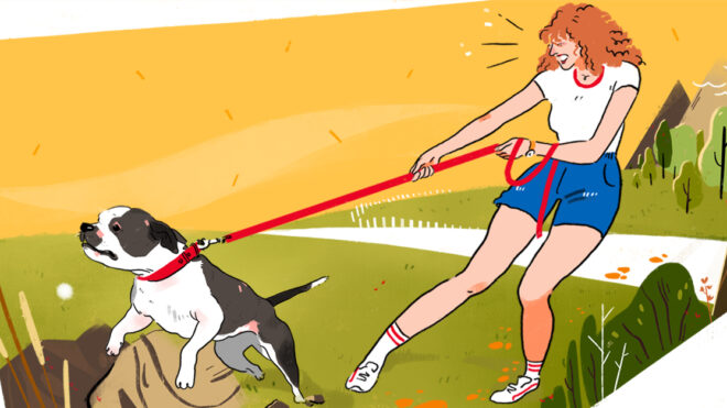 HPThumb_How To Handle A Puppy With Leash Reactivity_1280x627px