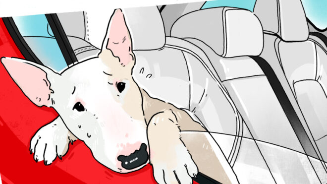 HPThumb_How to Deal With a Carsick Puppy_1280x627px