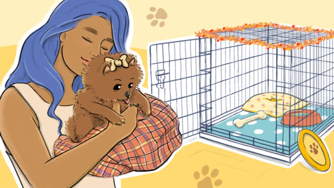 HPThumb_HowToCrateTrainAPuppy_1280x627px