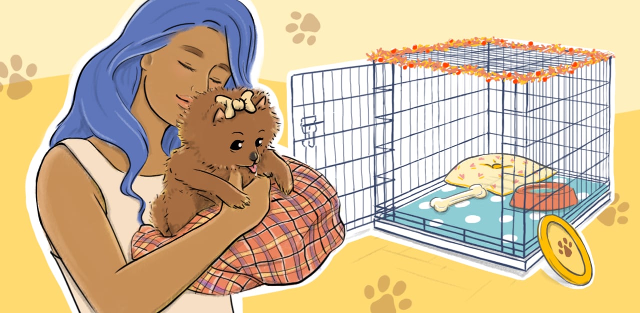 HPThumb_HowToCrateTrainAPuppy_1280x627px