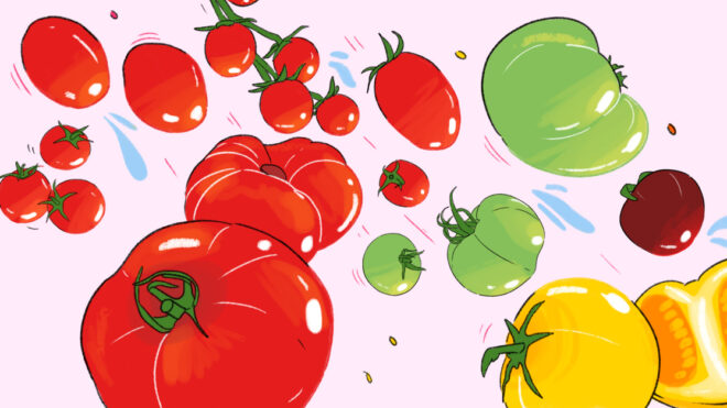 tomatoes-types