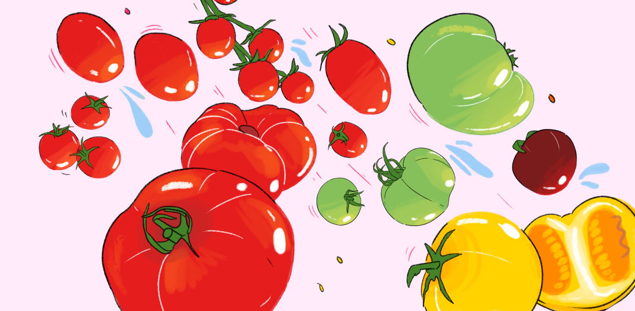 tomatoes-types