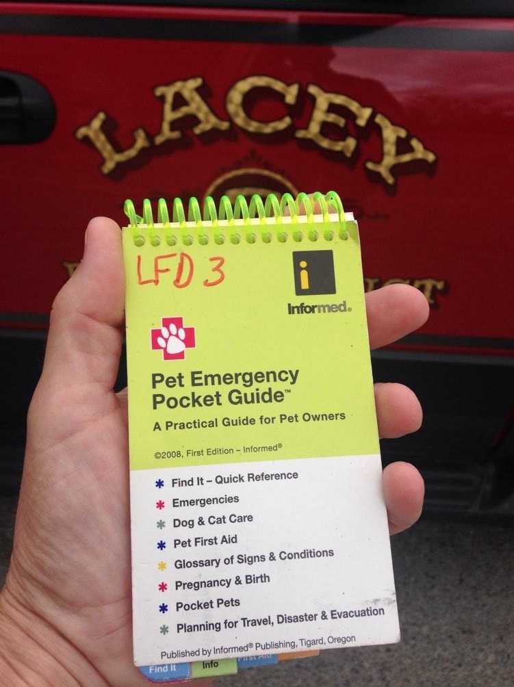 Firemen Miraculously Save Baby Hamsters With Tiny Oxygen Masks!