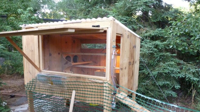 Hen House Feature 2