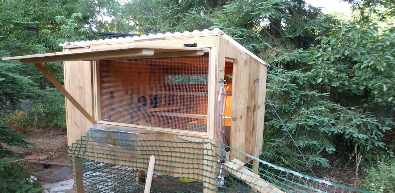 Hen House Feature 2