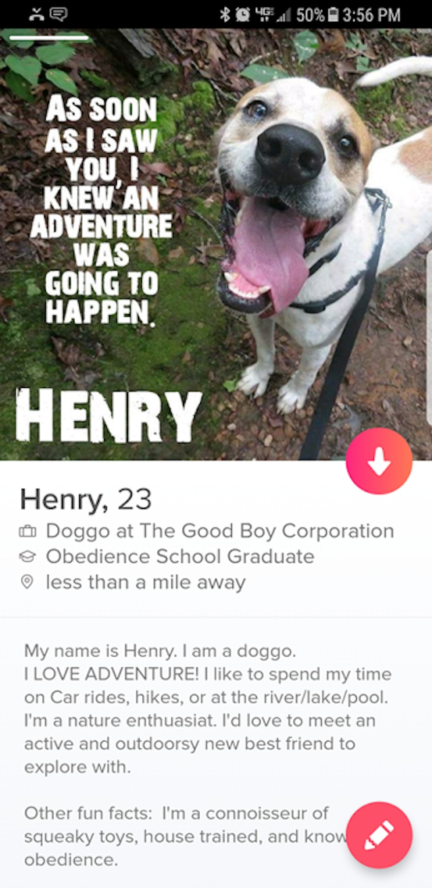 Henry_profile.jpg