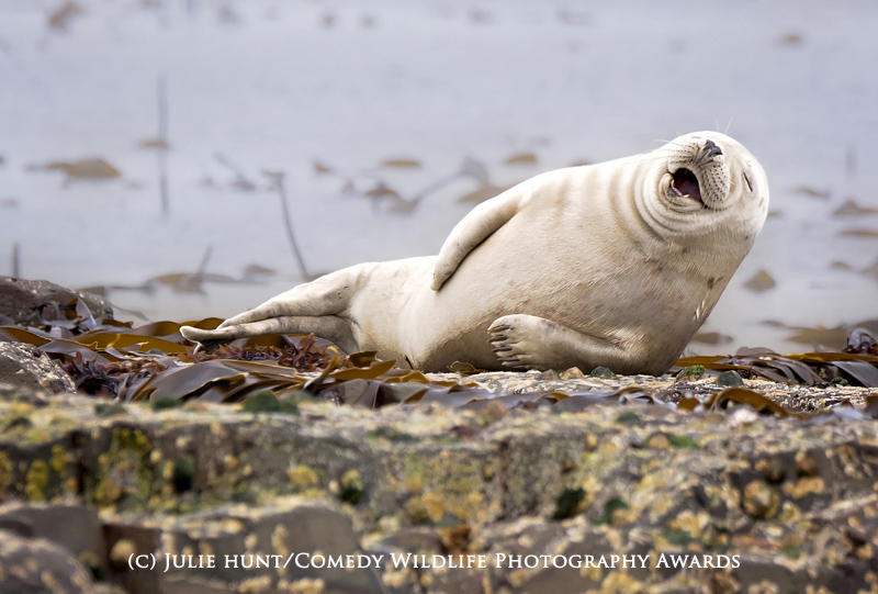 It's not funny.. I've got cramp in my flipper! It's not funny.. I've got cramp in my flipper!