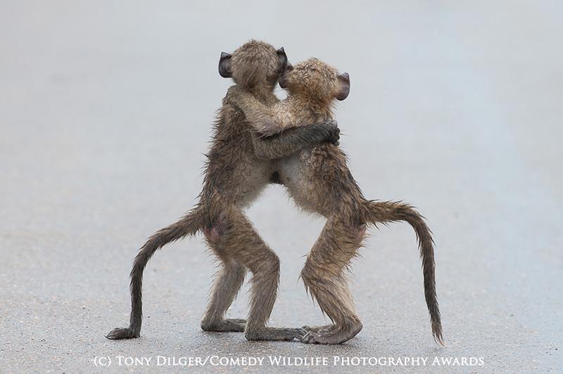 Last tango Last tango