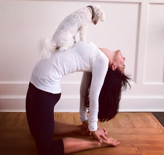 Hilaria-Baldwin-Dog-Yoga1.png