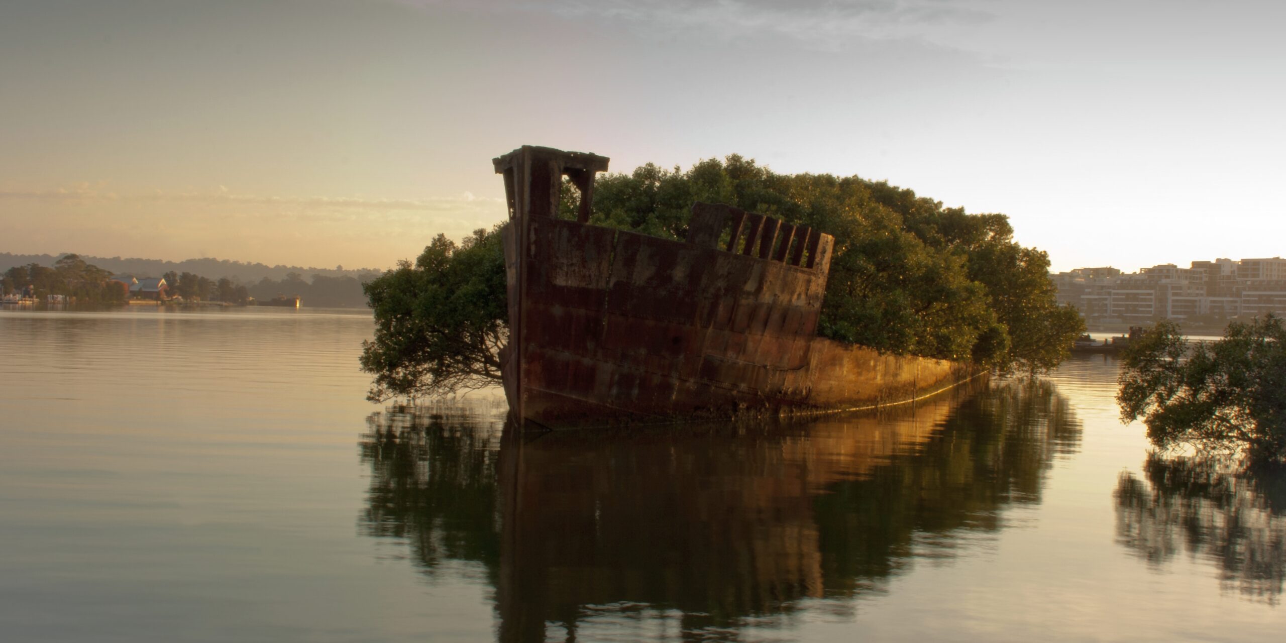 Homebush_Bay_-_SS_Ayrfield.jpg