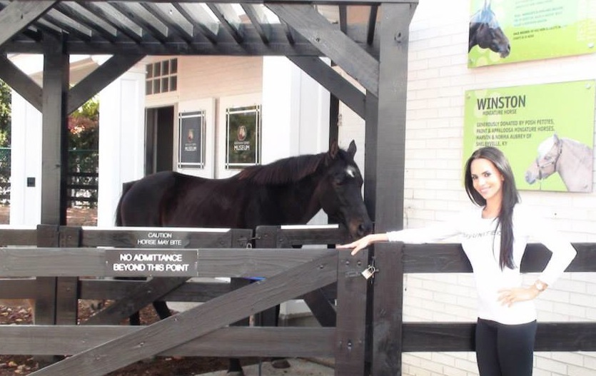 Horses-50-Acts-Of-Kindness.jpg