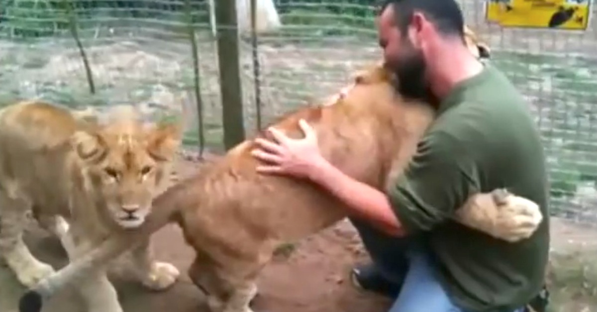 Hugging the Lion cubs goodbye 2