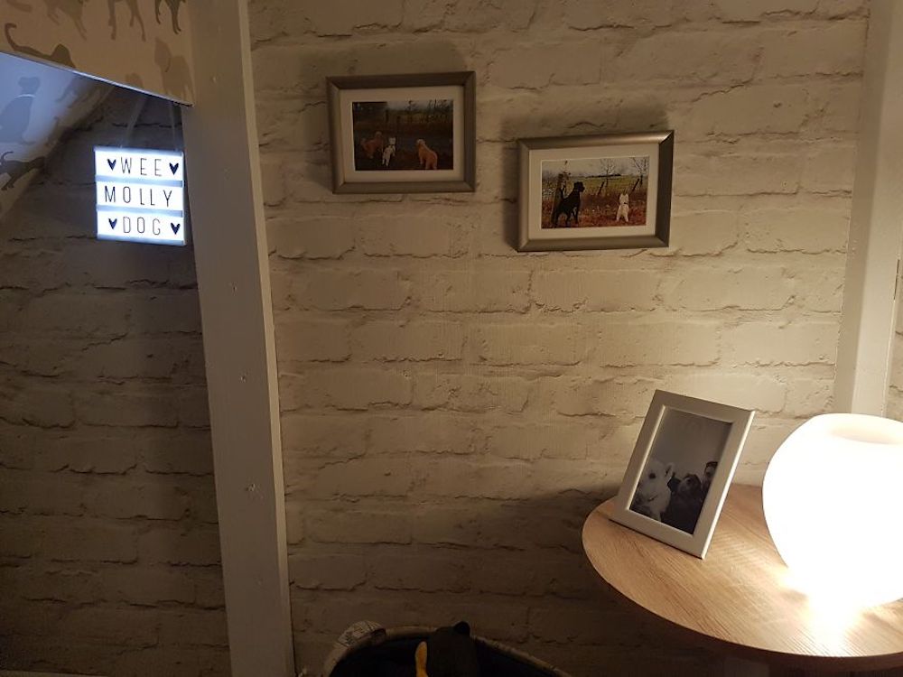 I-built-my-dog-a-Hairy-Paw-tor-room-under-the-stairs-and-it-turned-out-better-than-expected-5a65da7ce6774__880.jpg