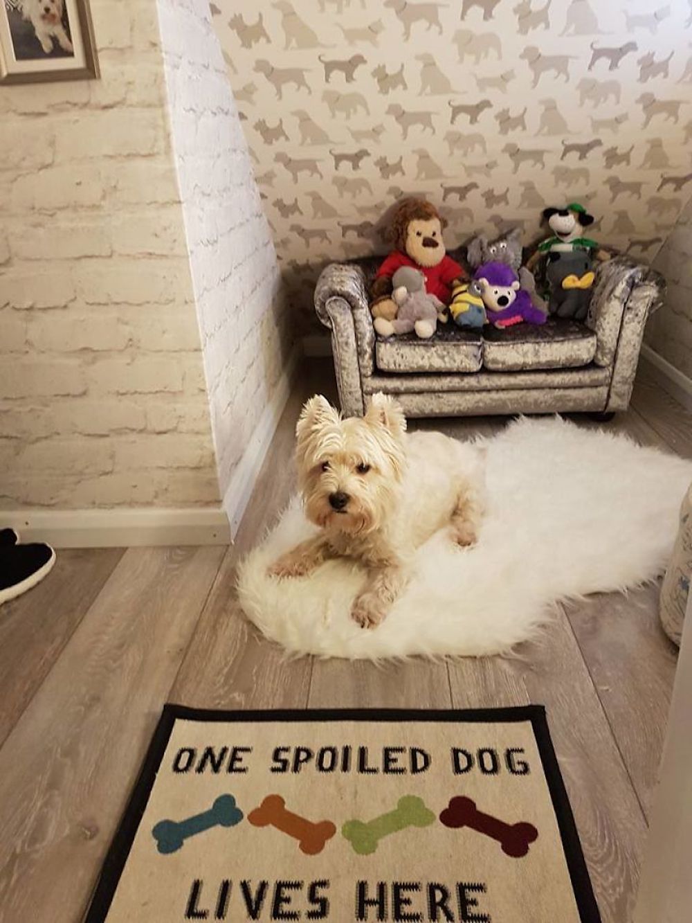 I-built-my-dog-a-Hairy-Paw-tor-room-under-the-stairs-and-it-turned-out-better-than-expected-5a65e2771eeea__880.jpg