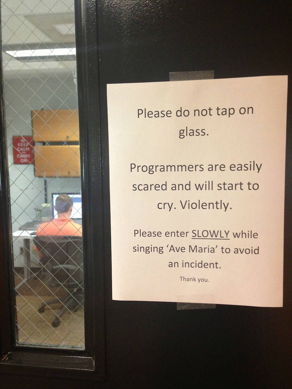 IT.jpg IT.jpg