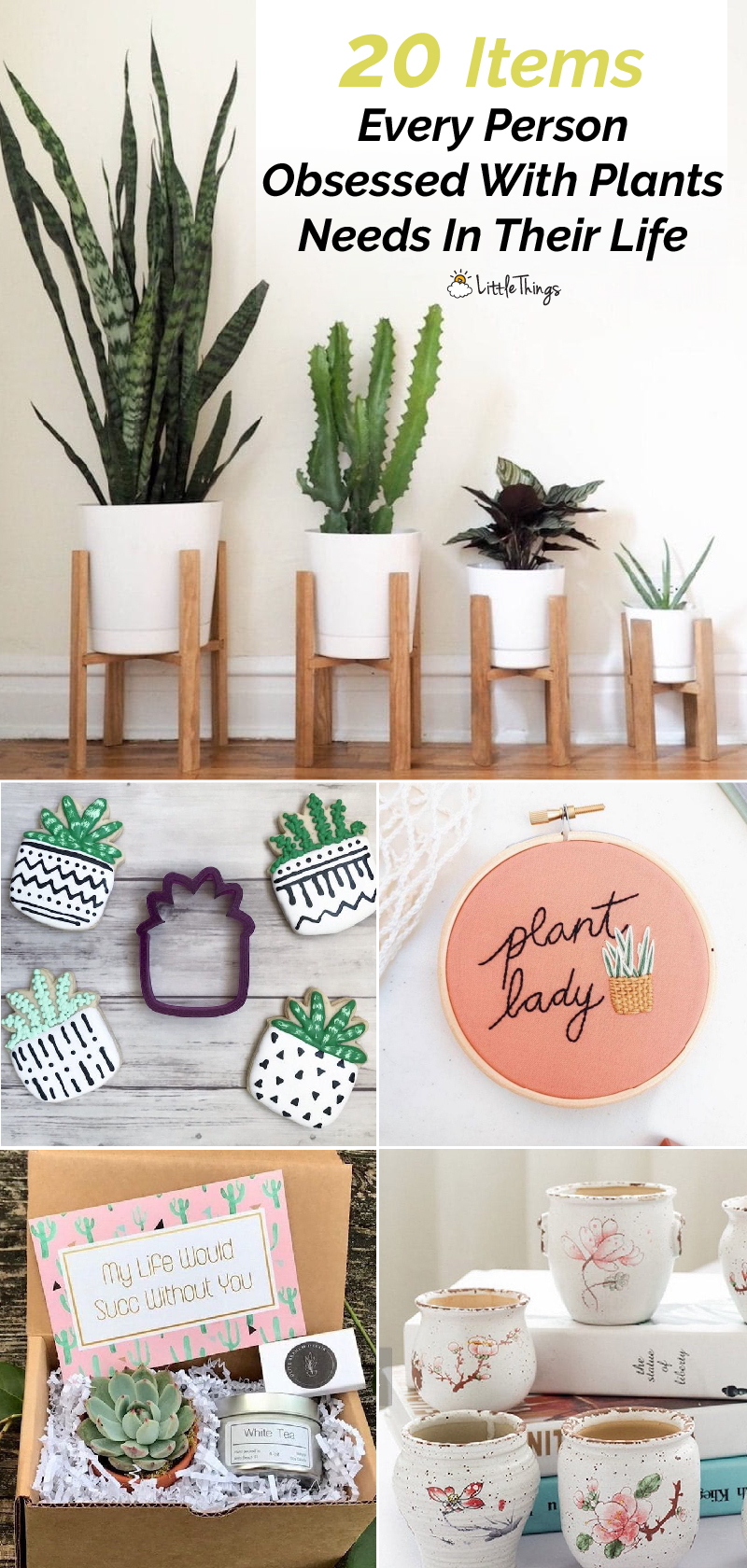 Items-every-person-obsessed-with-plants-needs-in-their-life-pinterest-image.jpg