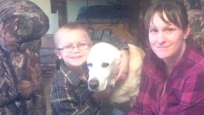 Labrador found in snow hp