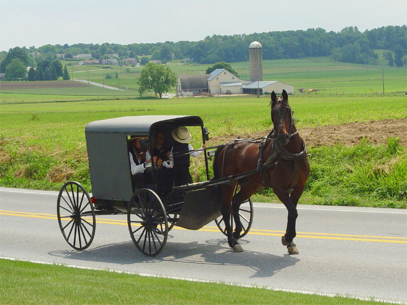 Lancaster_County_Amish_03-1.jpg