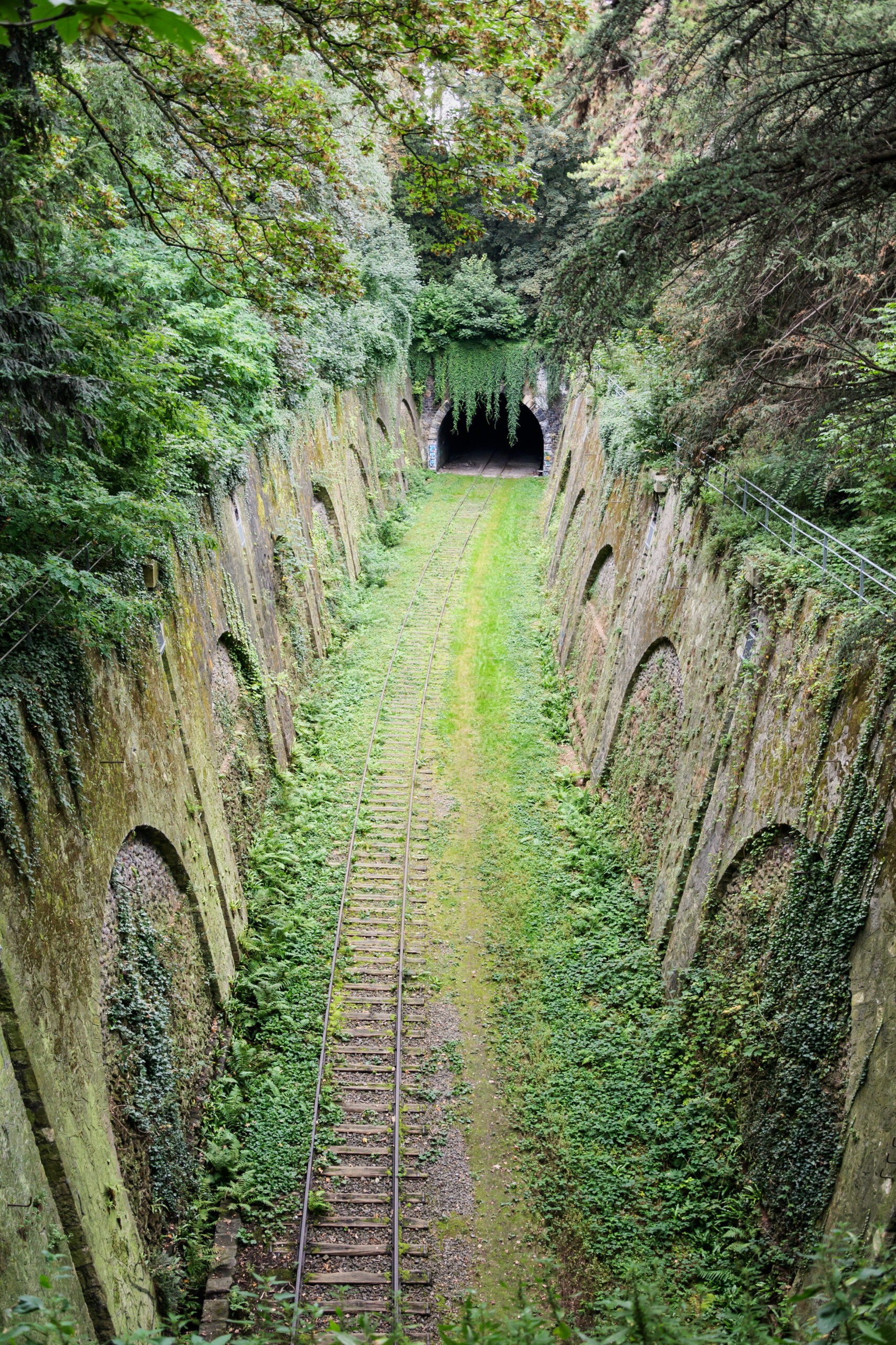 Ligne_Petite_Ceinture_parc_Montsouris_Paris.jpg