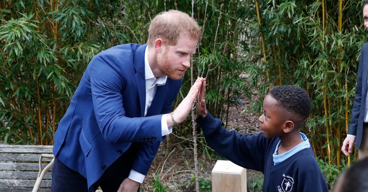 Little Boy Thinks Prince Harry Is An Imposter