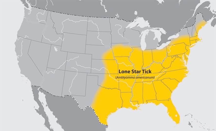 Lone-star-tick-map-cdc.jpg