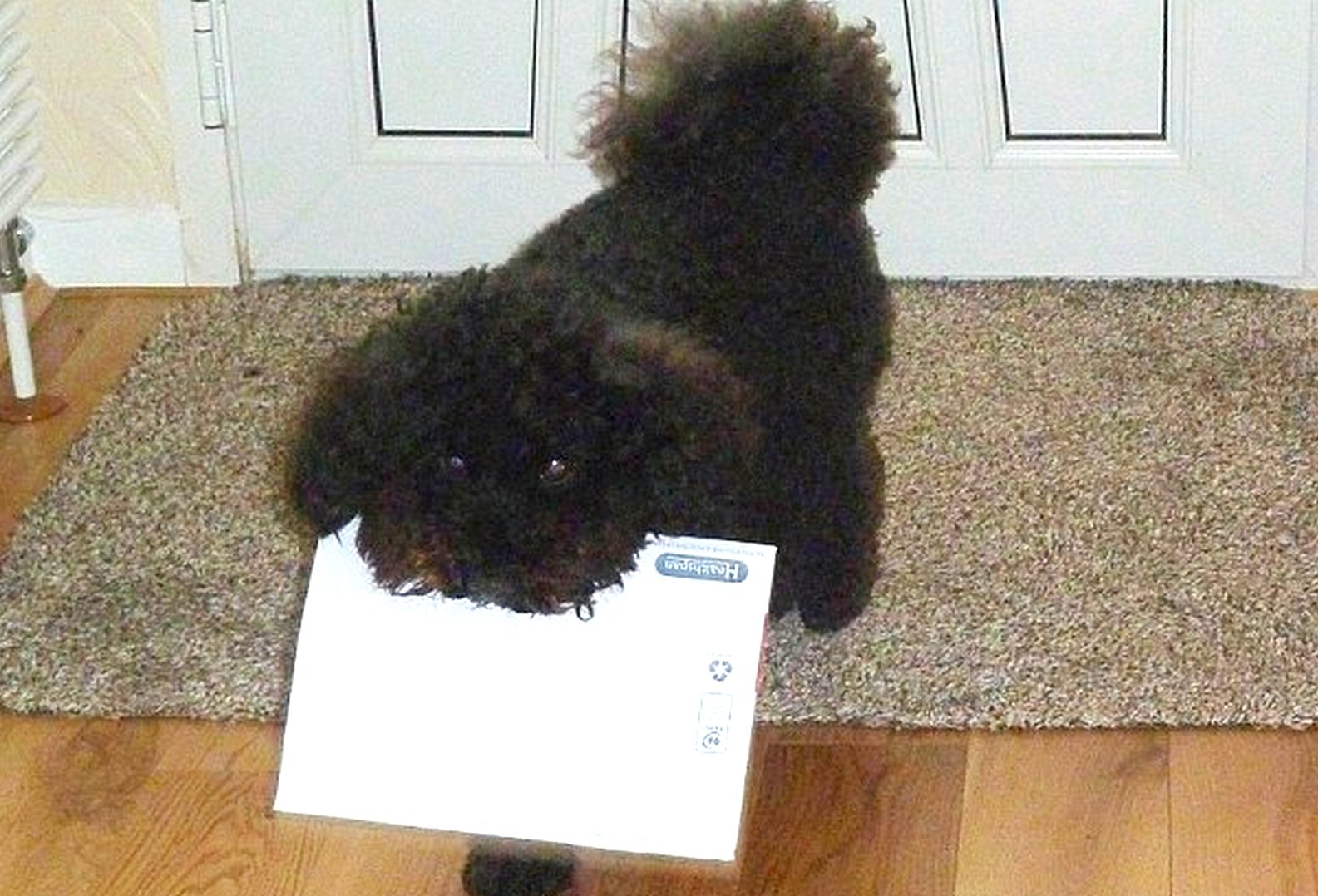 Mail.jpg