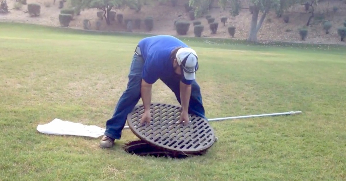 Man Rescues Turtle From Storm Drain