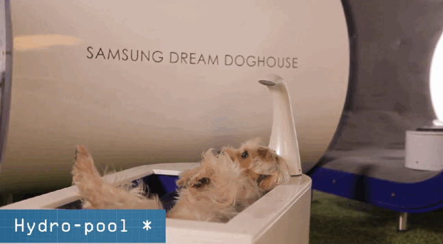 Mar-06-2015-1327.gif